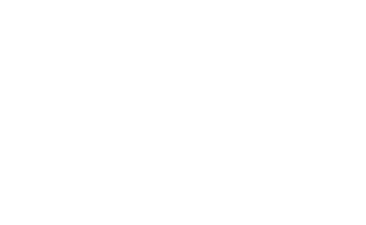 Ferry de Lange Logo Wit