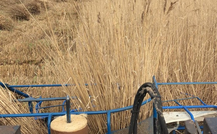 WhatsApp Image 2025 12 03 at 13.46.49 2